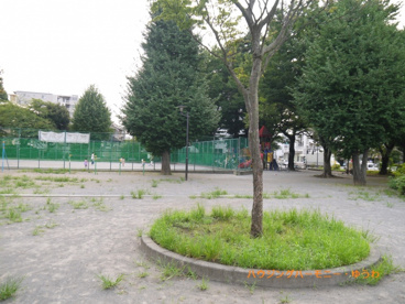 板橋区立 小豆沢公園 の画像5