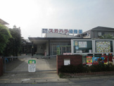 スガハラ幼稚園