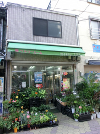 愛フラワールームの画像1