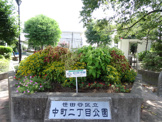 世田谷区立 中町二丁目公園