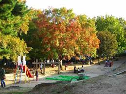 樋之池公園の画像1