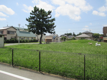 天王一本松公園の画像2