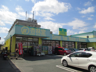 杏林堂薬局ドラッグストア天王店の画像1