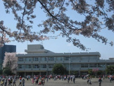小学校 相模原市立 鶴園小学校