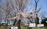 金森山市民の森