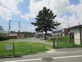 天王一本松公園