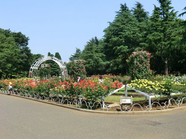 代々木公園の画像1