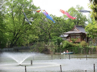碑文谷公園の画像1