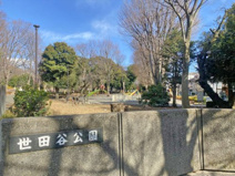 世田谷公園