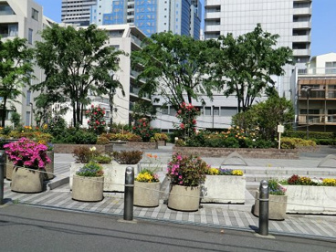 区立本町氷川公園の画像1