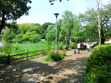 洗足池公園の画像1