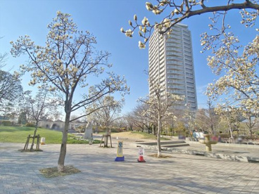 しながわ中央公園の画像1