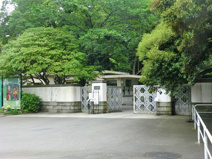 国立科学博物館附属自然教育園