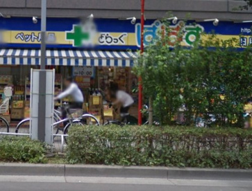 どらっぐぱぱす　西新宿店の画像1