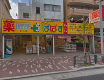 どらっぐぱぱす　菊川店
