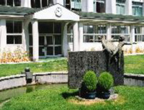 大阪市立 真田山小学校