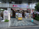 ココカラファイン 桜新町店