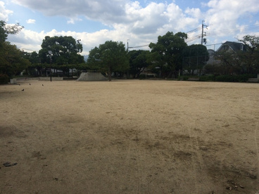 御代開公園の画像2