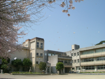 館林市立 第八小学校の画像1