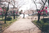 東小橋公園