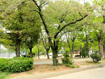 真田山公園の画像3