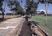 藪塚中央運動公園の画像1