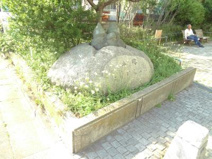 平塚たけのこ公園