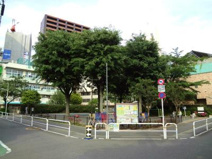 平塚中央公園