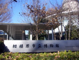 相模原市立博物館