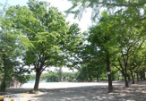 荒川公園