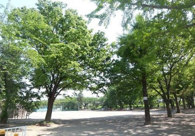 荒川公園の画像1