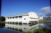 池に浮遊する体育館‥