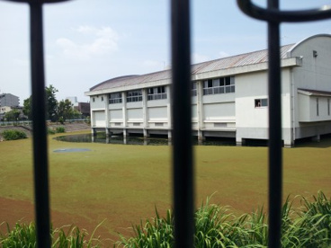 池に浮遊する体育館‥の画像3