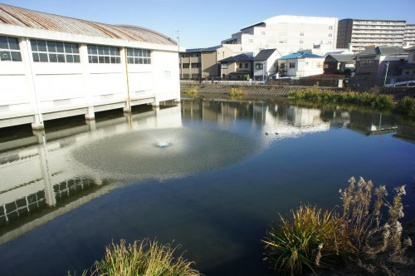 池に浮遊する体育館‥の画像4