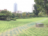 公園 檜町公園