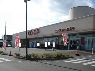 コープ宮子店の画像1
