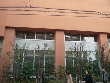 世田谷区立烏山中学校の画像2