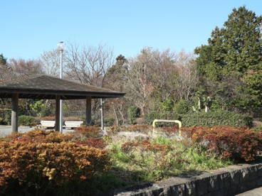 松ケ丘緑地の画像1