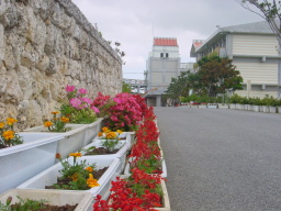 潮平中学校の画像1