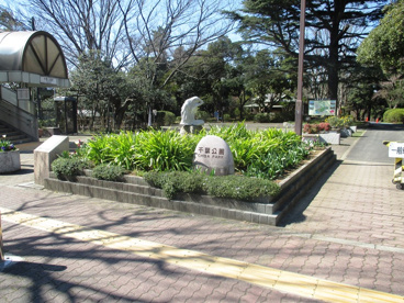 千葉公園の画像1