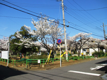 都北第3公園の画像1