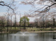 御伊勢塚公園の画像