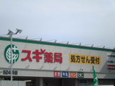 ドラッグストア スギ薬局東加古川店
