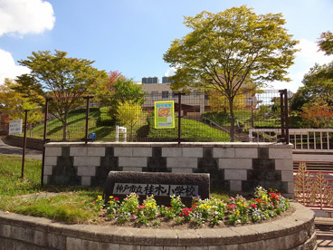 神戸市立桂木小学校の画像1