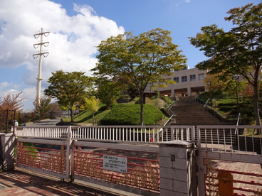 神戸市立桂木小学校の画像3