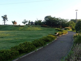 公園 蟹ヶ谷公園