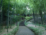 城山公園