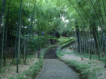 城山公園の画像1