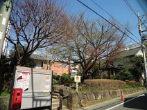 区立しいのき公園