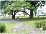 昭島市立新生公園